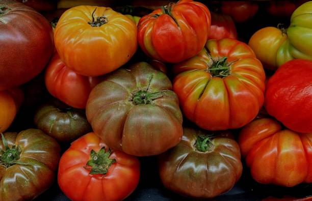 istock Farmers Market Heirloom Tomatoes 1615194638
