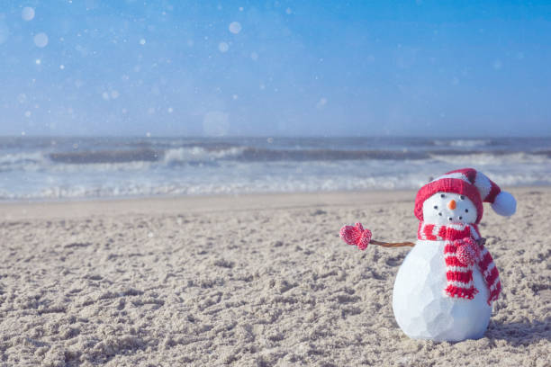 Snowman at the beach