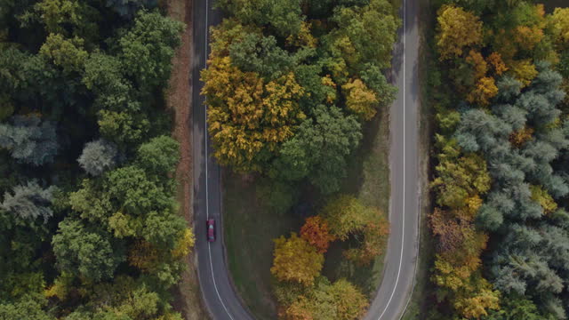Aerial view of country road in sunny autumn forest