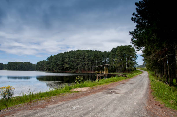 istock dirt road beside a lake 1615243602