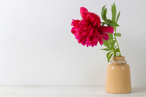 Beautiful bright pink flowers peonies in a jug on a light background. space for text