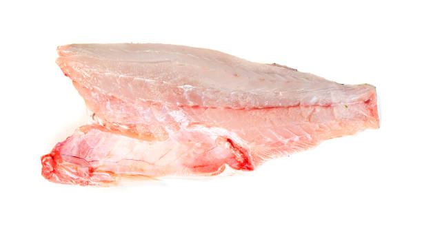 istock barramundi or seabass fish sliced isolated on white background 1615443250