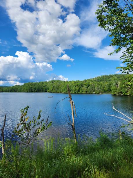 istock Lake views from the shore 1615450089