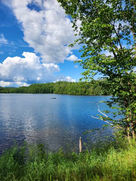 istock Canoe in the lake 1615450598