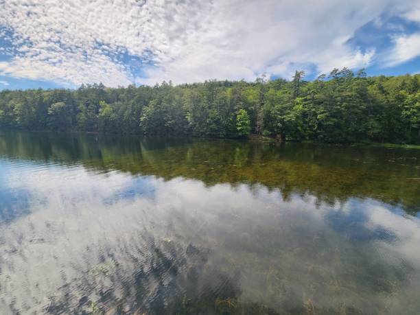 istock Sumer days at the lake 1615470463