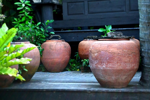 Assorted pots in a garden