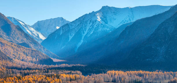 istock Mountain gorge overgrown with forest, snow on the peaks 1615530364