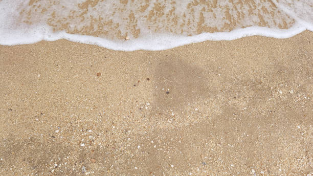 istock Wave of the sea 1615578507