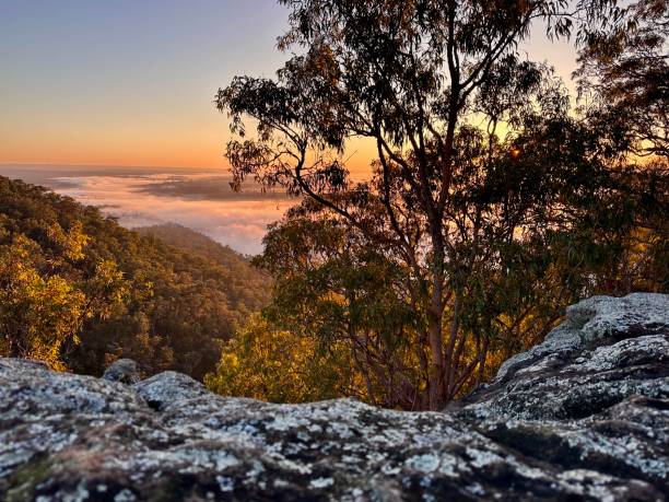istock Yellow Rock, Sunrise 1615624291