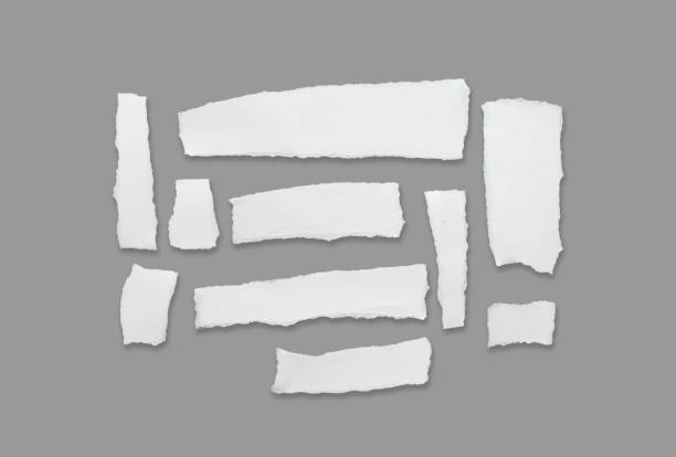 White ripped note,Torn paper edges for background. Ripped paper texture on transparent background. isolated on white background with clipping path.
