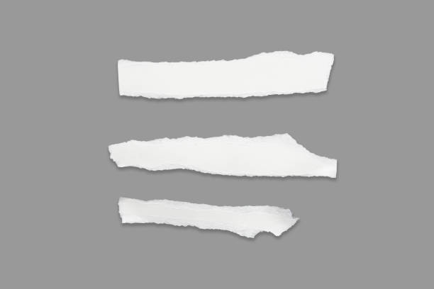 istock White ripped note,Torn paper edges for background. Ripped paper texture on transparent background. isolated on white background with clipping path. 1615624821