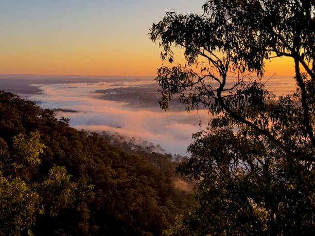 istock Yellow Rock, Sunrise 1615626947