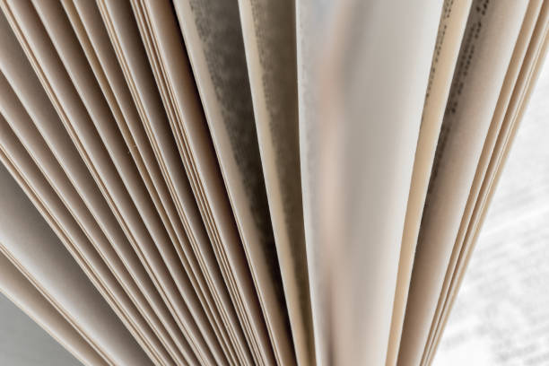 istock Page open magazine or book close-up. Paper sheets background. 1615638003