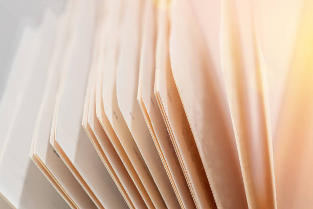 istock Opened book with shuffling pages. Concept of learning education. 1615639570