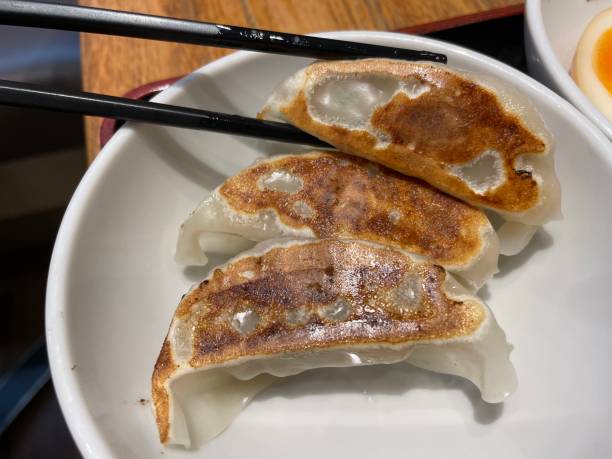 istock grilled dumplings with plenty of gravy 1615660606