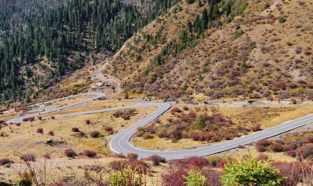 istock Autumn view of mountain road 1615663302