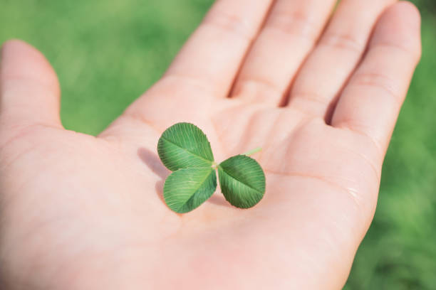 istock Three-leaf clover in the palm of your hand 1615709665
