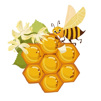 Vector illustration of a cartoon character of a bee with honeycombs and linden flowers.