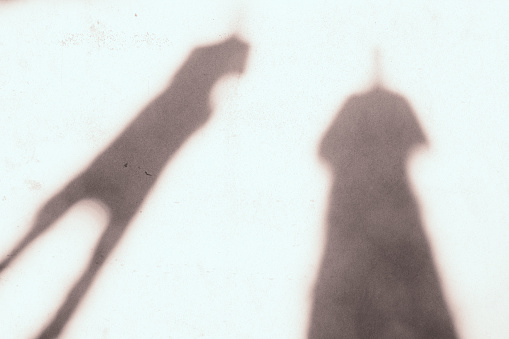 image of shadows of two people