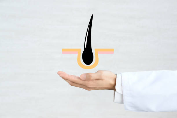 istock Doctor's hand and hair illustration 1615796368