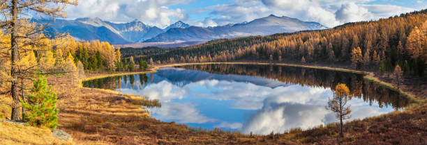 Panoramic view of the forest lake, Alta