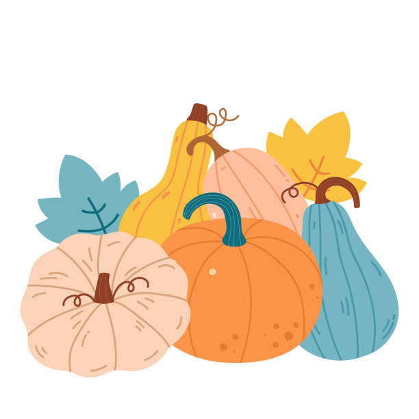Autumn vegetable composition with pumpkin of various shapes and colors. Halloween clip art, autumn design elements. Perfect graphic for Thanksgiving day, Halloween, greeting cards. Vector illustration Autumn vegetable composition with pumpkin of various shapes and colors. Halloween clip art, autumn design elements. Perfect graphic for Thanksgiving day, Halloween, greeting cards. Vector illustration october clipart stock illustrations