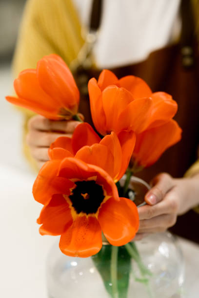 joven asiática arreglando un ramo de flores en un jarrón de vidrio en casa. - scented asia asian culture bunch fotografías e imágenes de stock