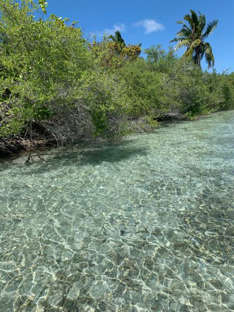 istock Uninhabited islands of Maldives 1615861992