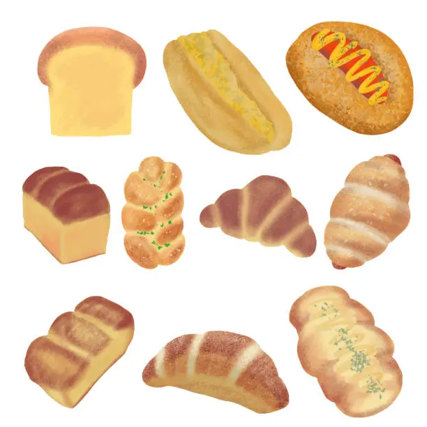 Vector illustration of The bread and bun illustrations  image for food content