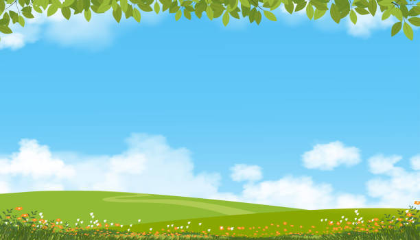 自然の春の田園風景、緑の野原、雲、夏の空、晴れた日の丘の上の緑の牧草地と花を持つ自然の地平線の田舎のシーン、食べる人のためのバナー、環境の日の背景 - clear sky village landscape landscaped点のイラスト素材／クリップアート素材／マンガ素材／アイコン素材