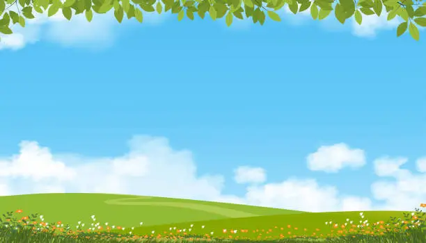 Vector illustration of Nature Spring Countryside Landscape,Green Field,Cloud,Summer Sky,Natural Horizon rural scene with green meadow and flower on hills in Sunny day,Banner for Eater, Environment day background