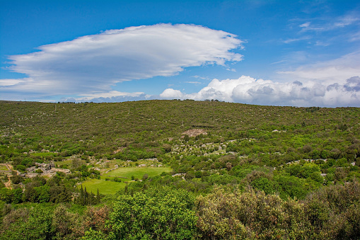 The spring landscape near Praznica on Brac Island in Croatia in May