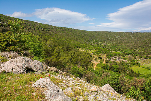 The spring landscape near Praznica on Brac Island in Croatia in May