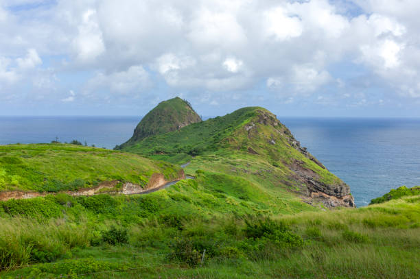 istock Overlooking the Hana Highway, Maui, Hawaii 1615943403