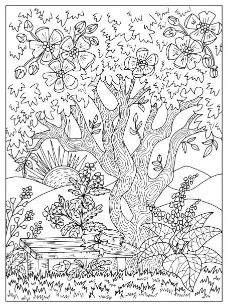 Vector illustration of Vector coloring page with wooden bench under blooming tree with flowers in the garden.