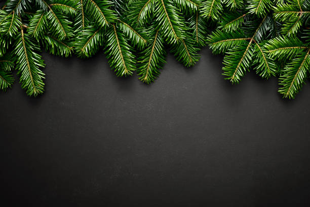 istock Christmas, Xmas, Noel or New Year background, Christmas tree branches with copy space for a text of greeting card 1615973182
