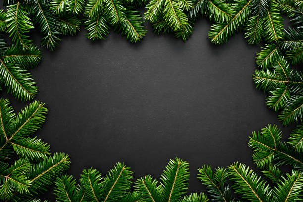 istock Christmas, Xmas, Noel or New Year background, Christmas tree branches with copy space for a text of greeting card 1615973747