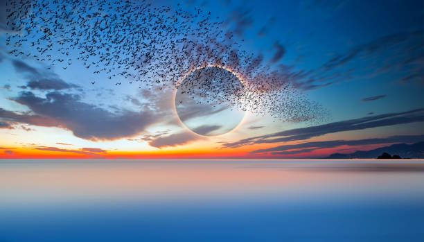 istock Beautiful landscape with solar eclipse over the sea at amazing sunset 1615983522