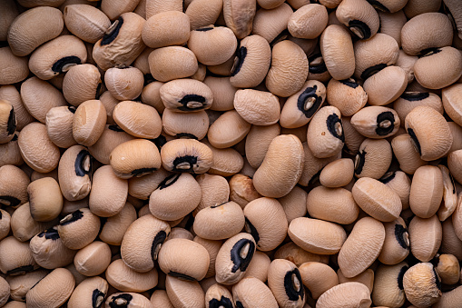 close-up top view of white dried beans