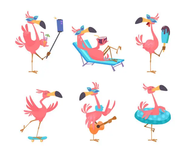 Vector illustration of Flamingo cartoon. Cute funny exotic tropical birds in action poses exact vector flamingo