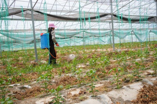 istock Farmer is spraying herbicide 1616004778