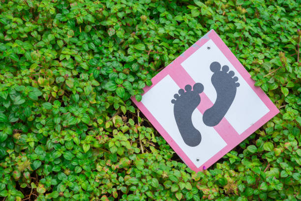 istock Do not step here sign in tropical green garden. 1616050974