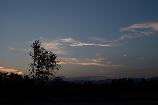 The dark blue sky at dusk on a land with a tree in silhouette