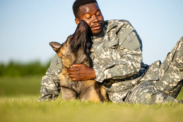 istock Love between soldier and military dog. 1616088525