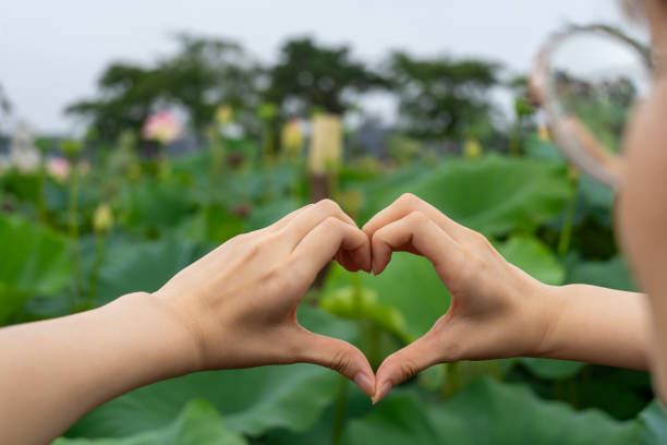 istock hand drawing heart in lotus field 1616094824