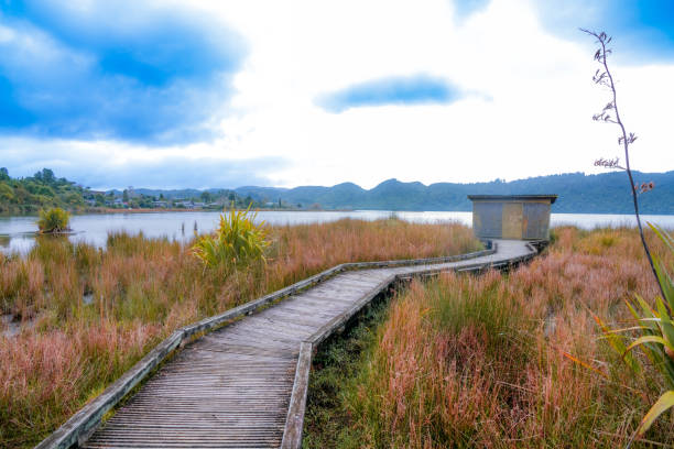 Lake Okareka walkway