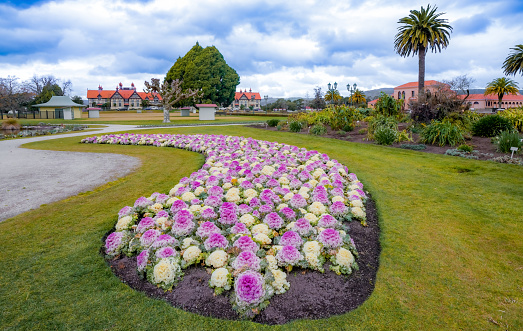 Rotorua government gardens has so many variety of flowers in different season