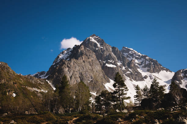 mountain landscape. view of a high rocky mountain with snow in the summer on a sunny day, coniferous trees and a cliff in the foreground - montana us glacier national park usa glacier imagens e fotografias de stock