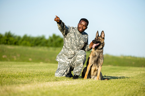 Military dog and soldier at training camp.