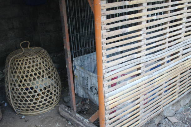 istock Traditional house for cage 1616121091